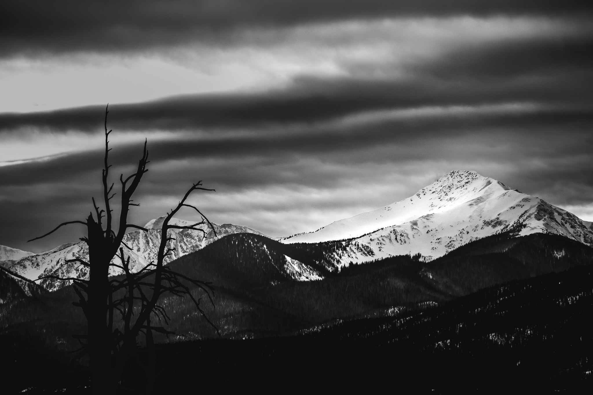 Black and white mountain silhouette behind bare branches in grayscale