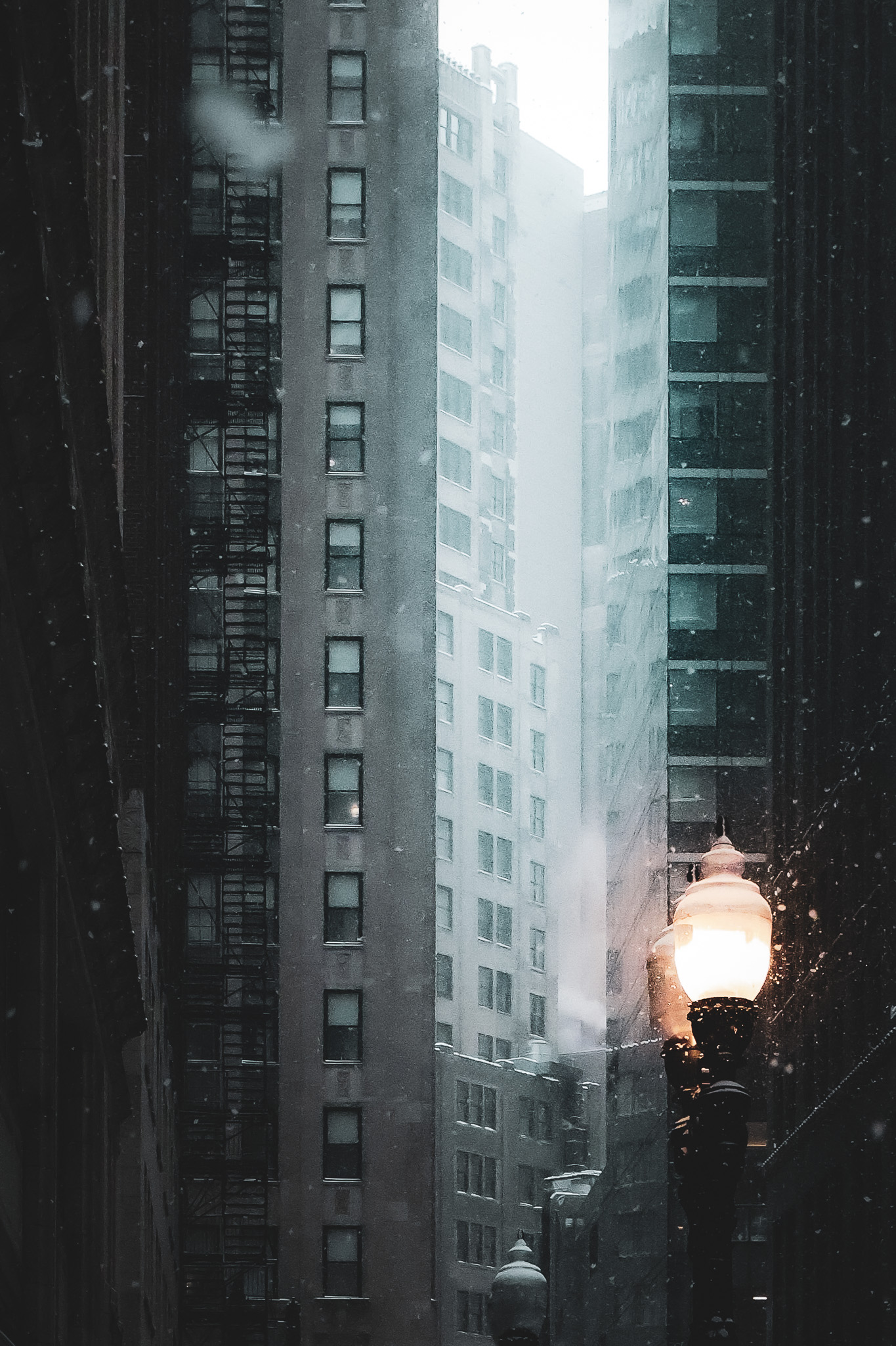 Foggy city lamp between tall buildings in grayscale